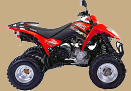 MAXXER 300