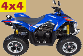 MAXXER 450I IRS