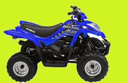 MAXXER 50