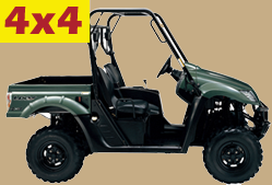 UXV 500I