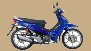 NEXXTON 50 4T